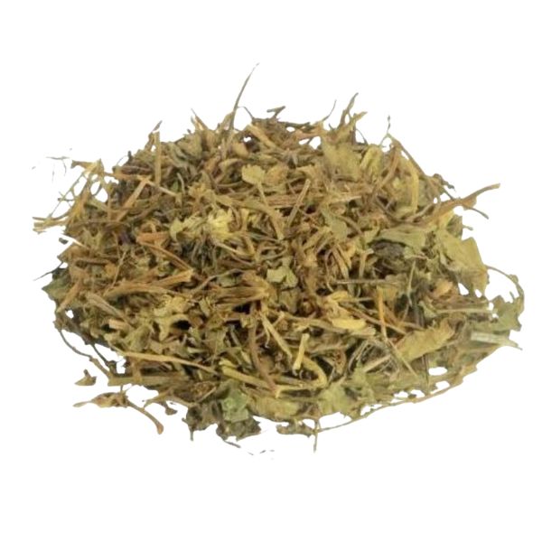 CENTELLA ASIATICA CH�